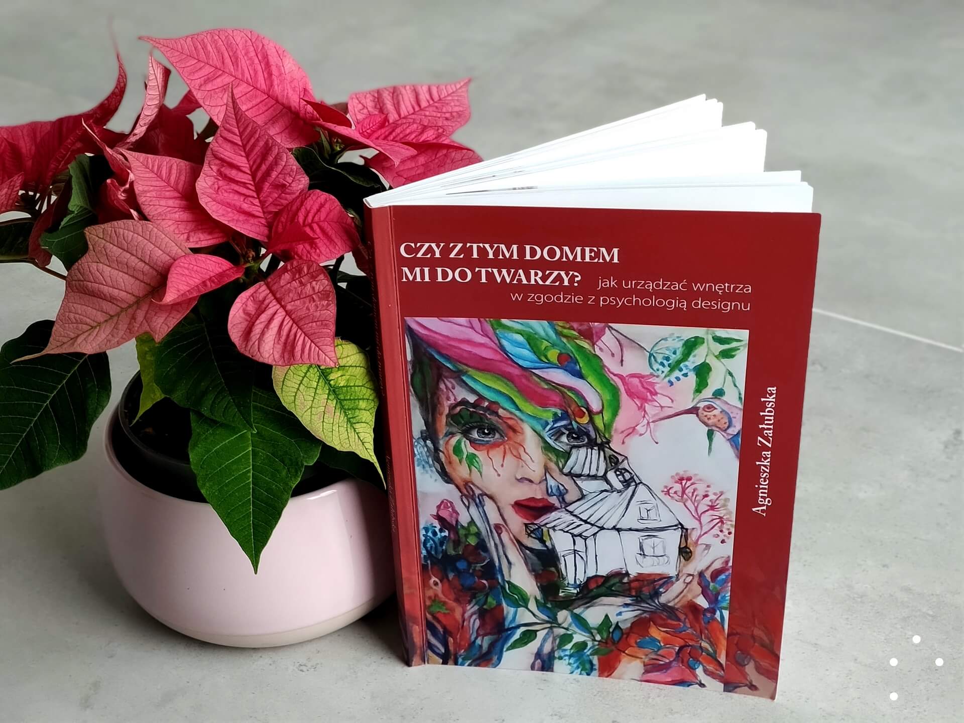 recenzja-czy-z-tym-domem-mi-do-twarzy-04
